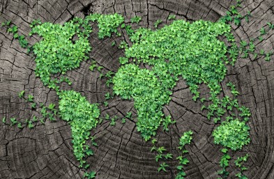 ISO14001 Updated Standards:  A Powerful Tool for Tackling Climate Change